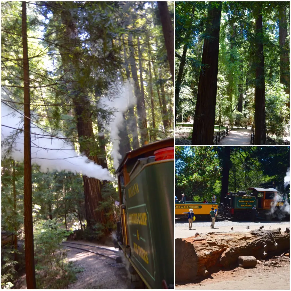 roaring camp