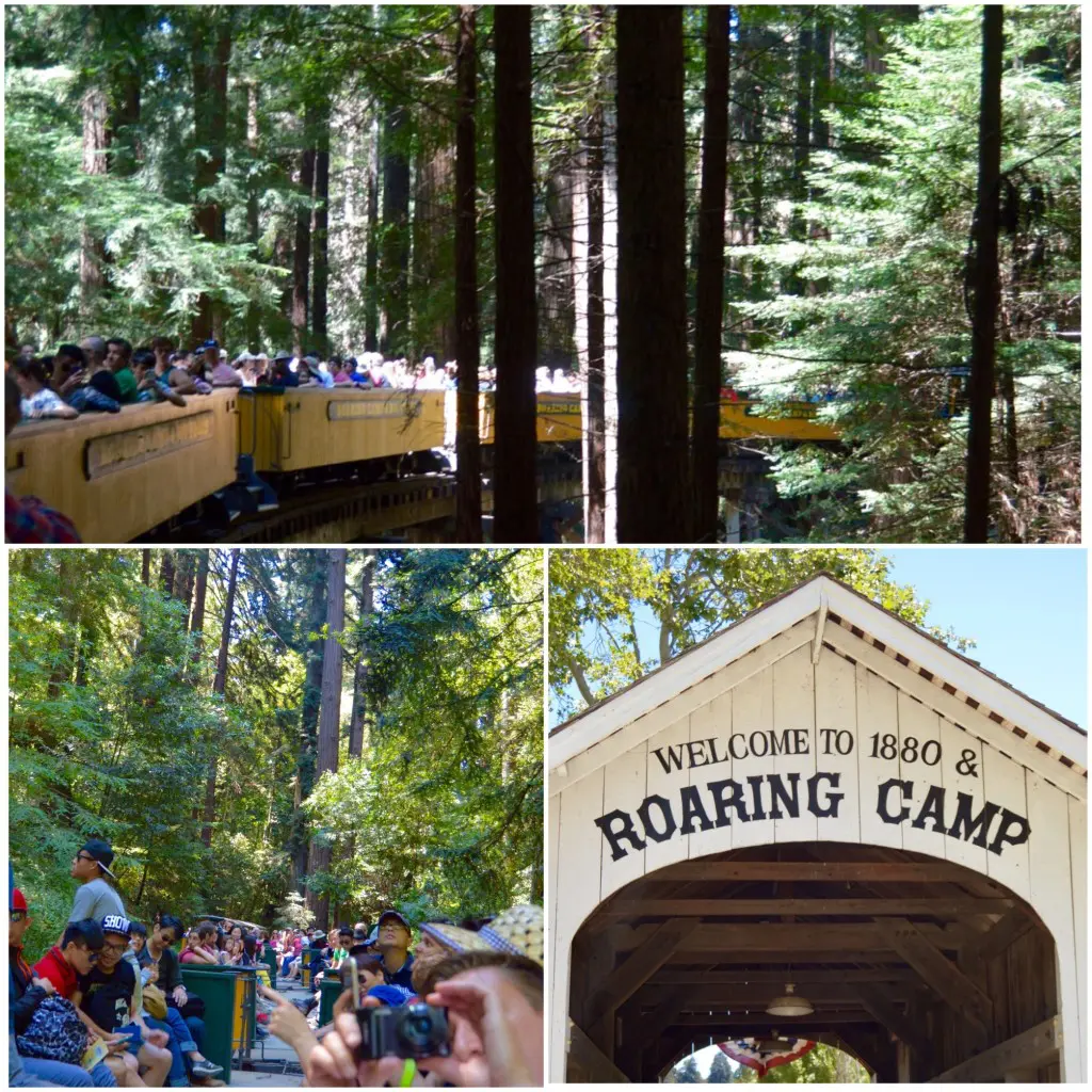 roaring camp