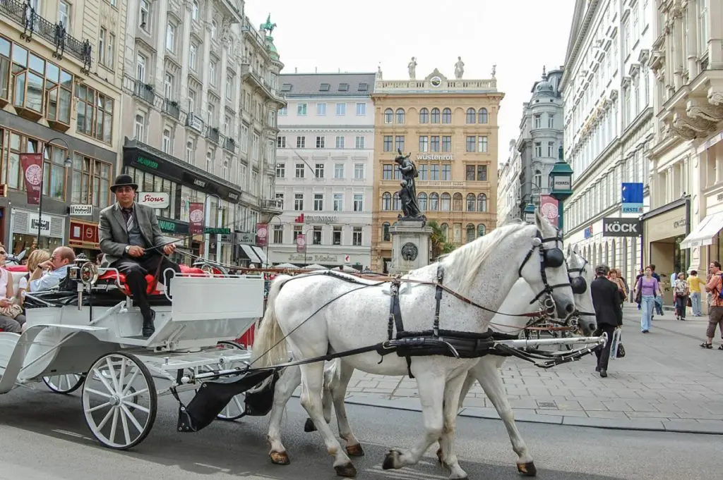 vienna fiaker horse carriage