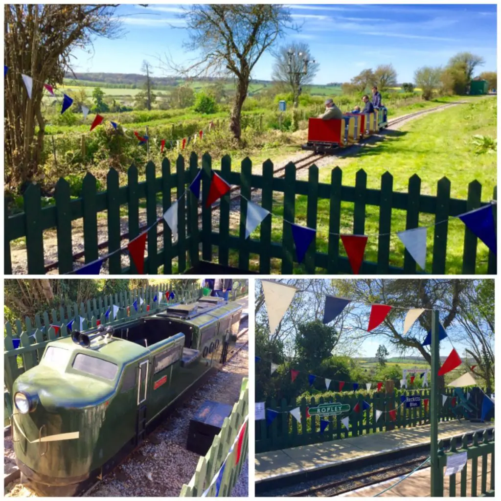 Thomas Day Out