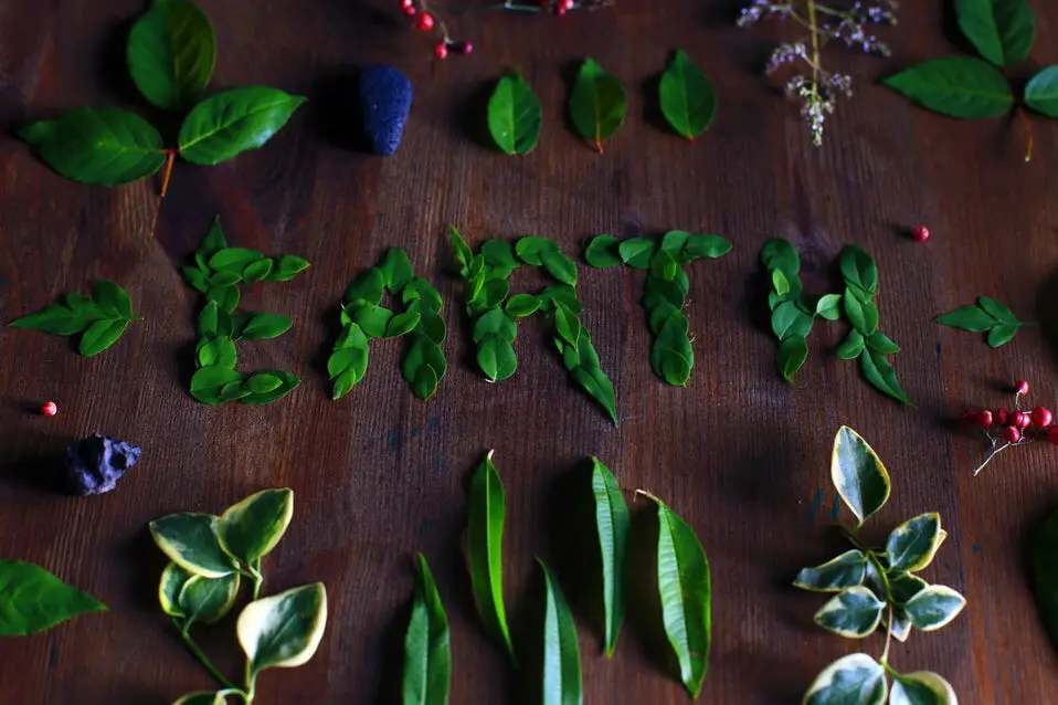 earth leaves earth leaves