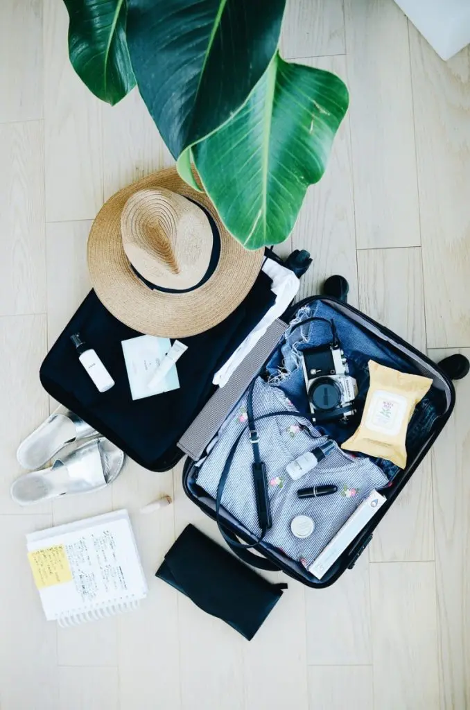 travel suitcase hat