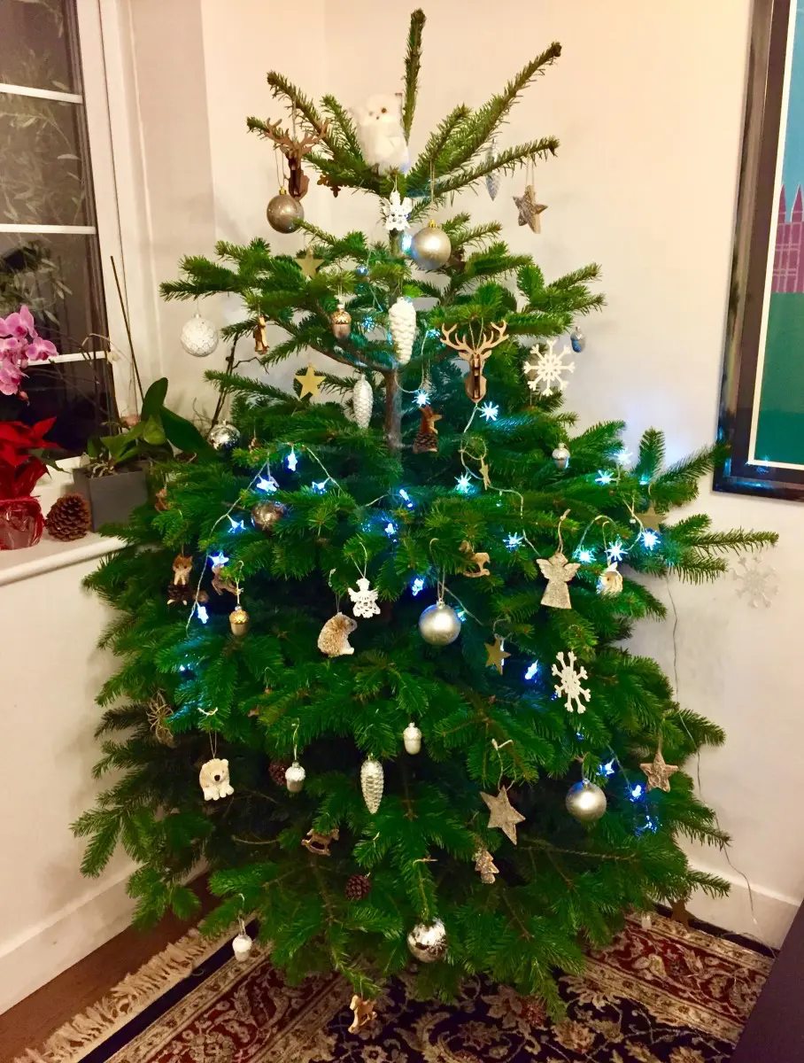 christmas tree