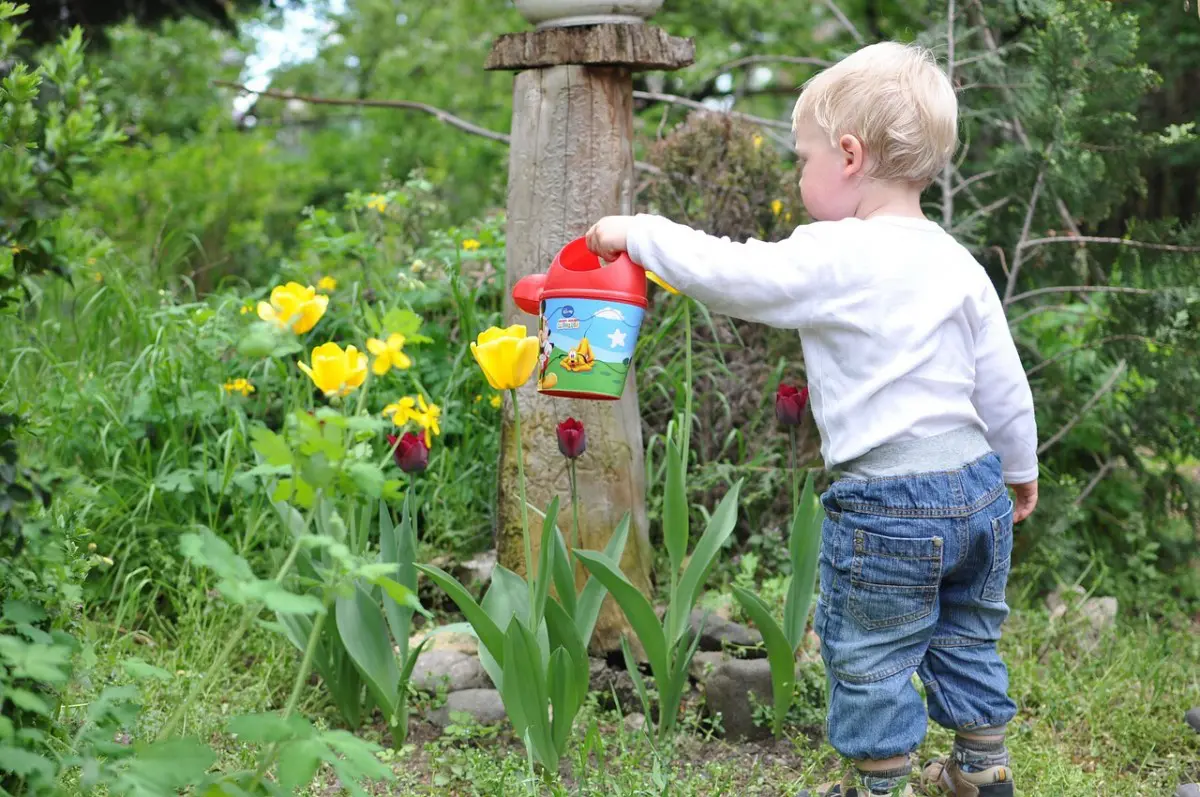 little boy watering garden