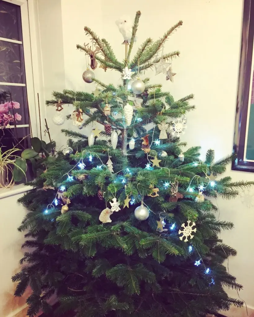 christmas tree
