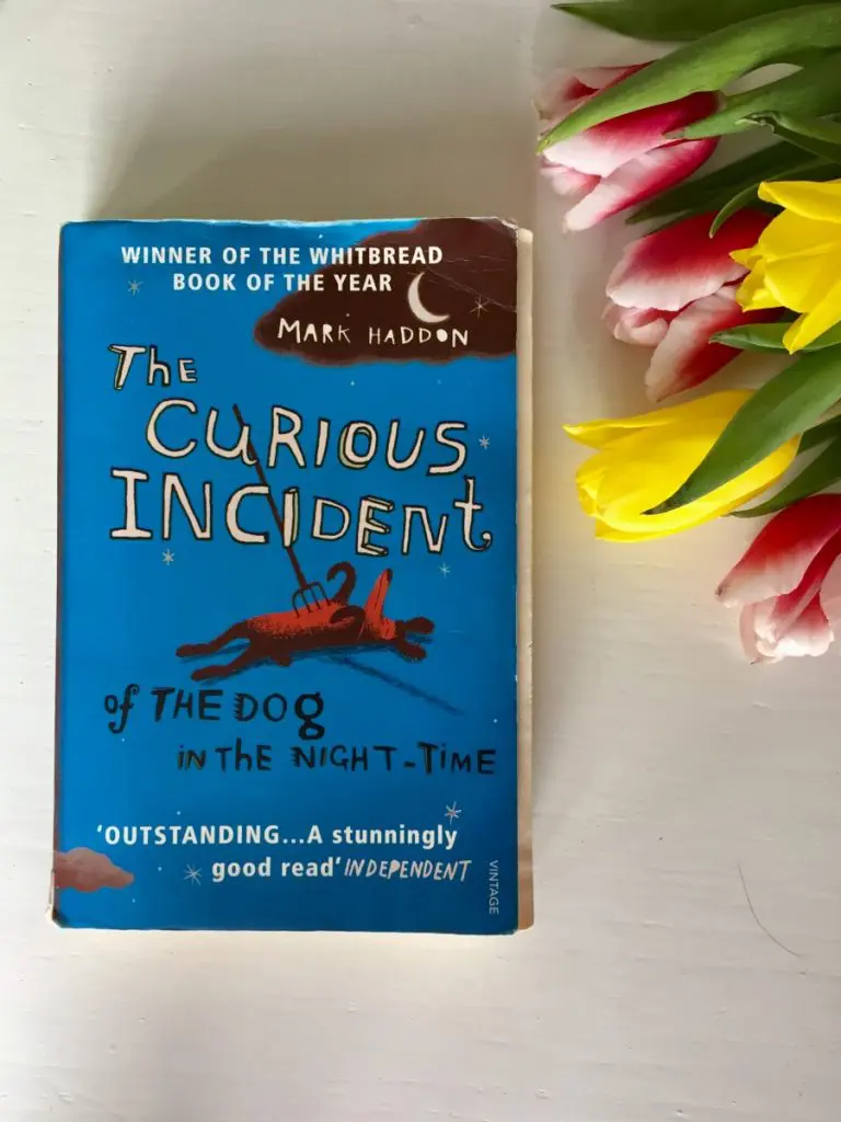 The curious incident of the dog
