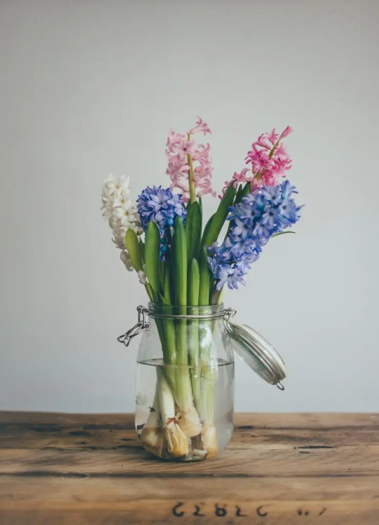 Photo by Annie Spratt on Unsplash