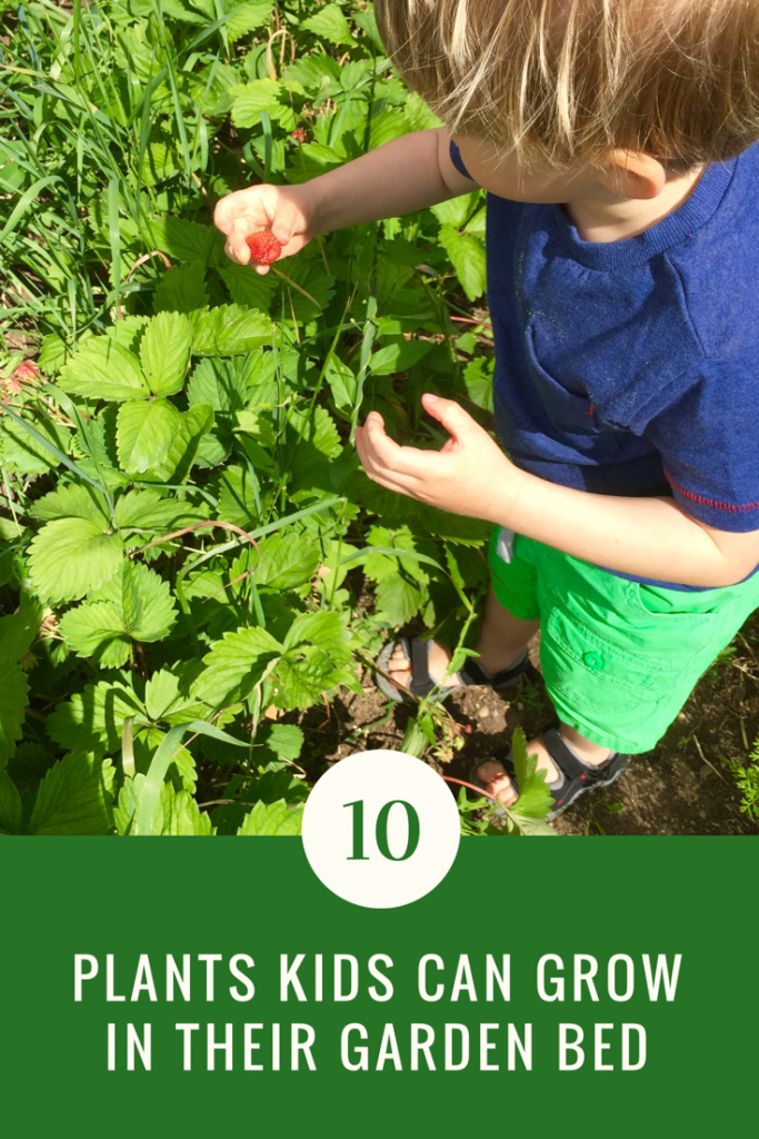 10 Plants Kids Can Grow in Their Garden Bed