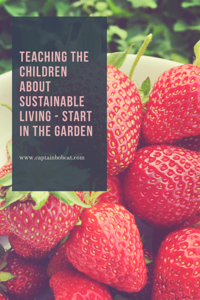 Sustainable living children pin