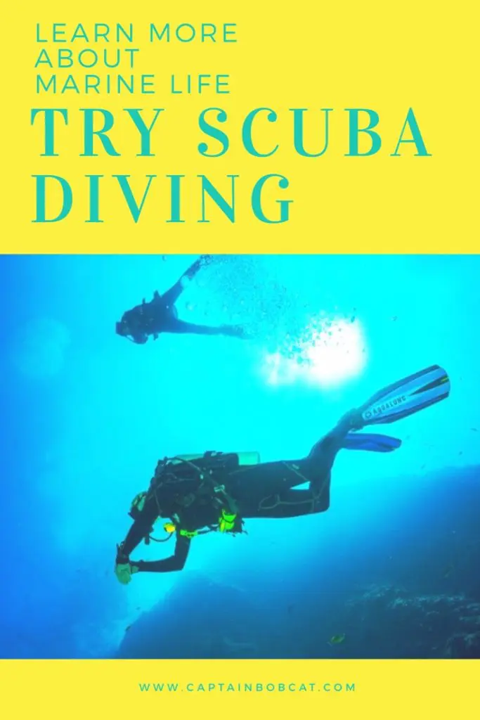 scuba pin