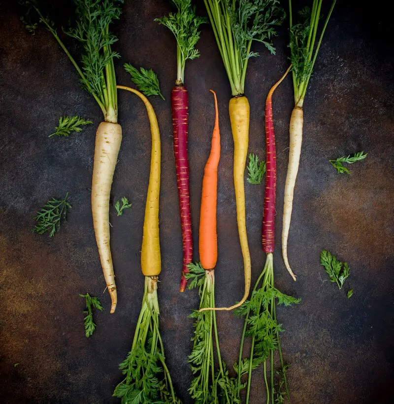 Here’s Why You Should Grow your Own Food at Home