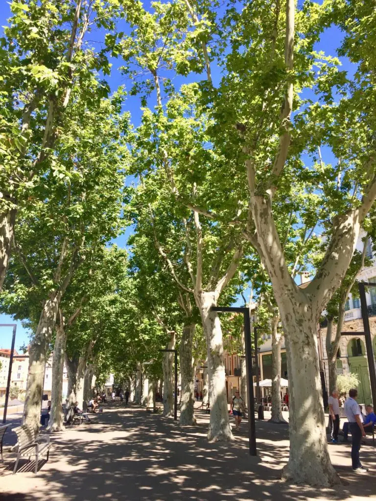 narbonne