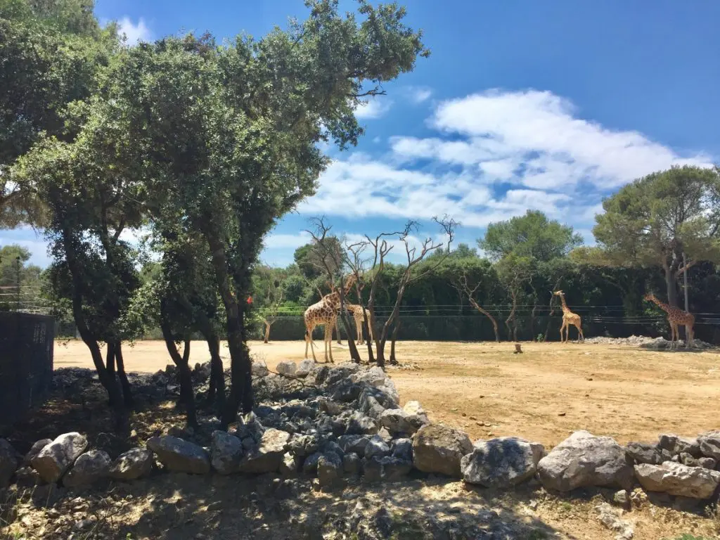 montpellier zoo