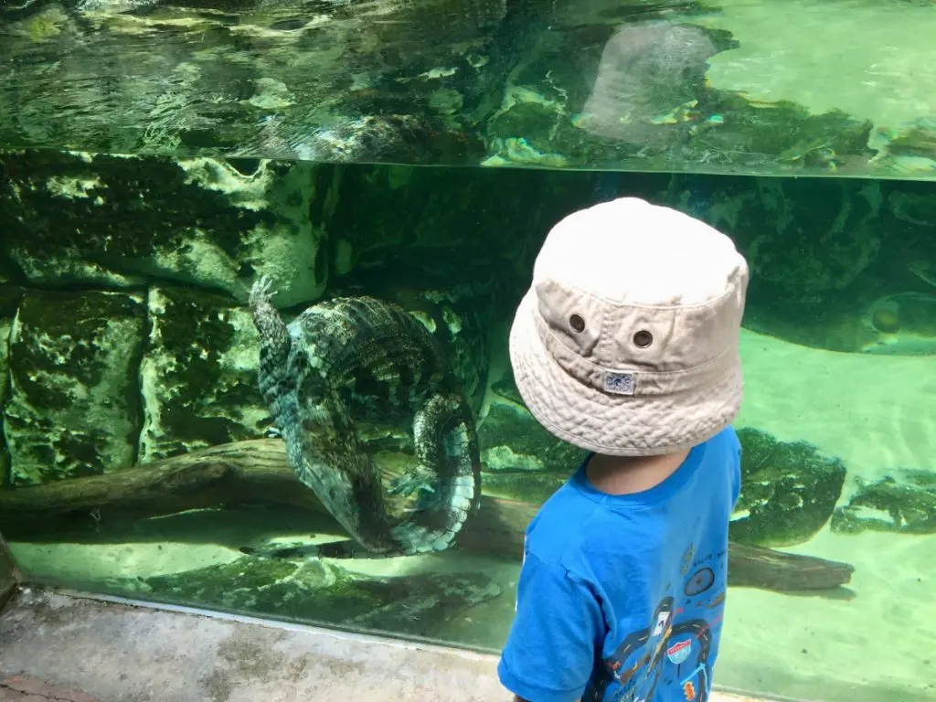 montpellier zoo