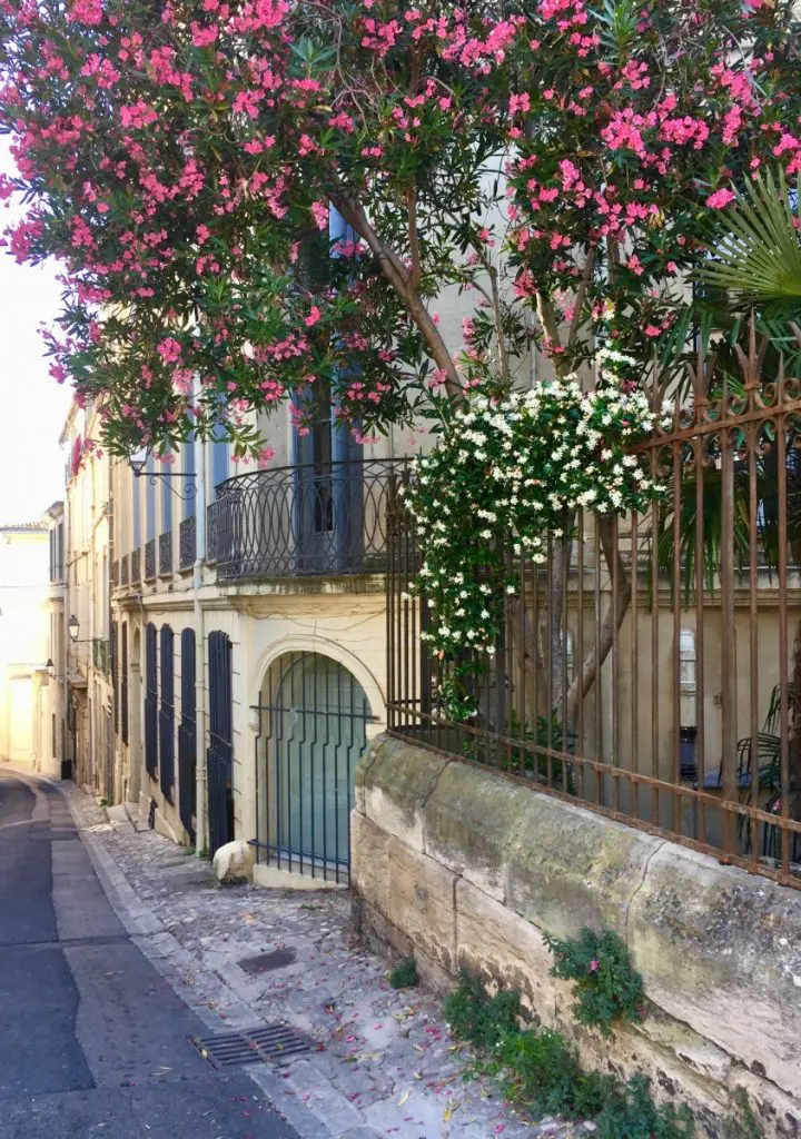 montpellier