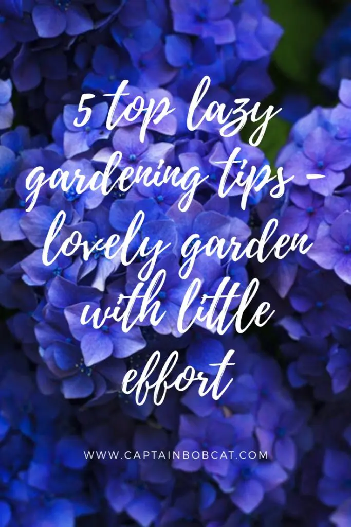 lazy gardening tips