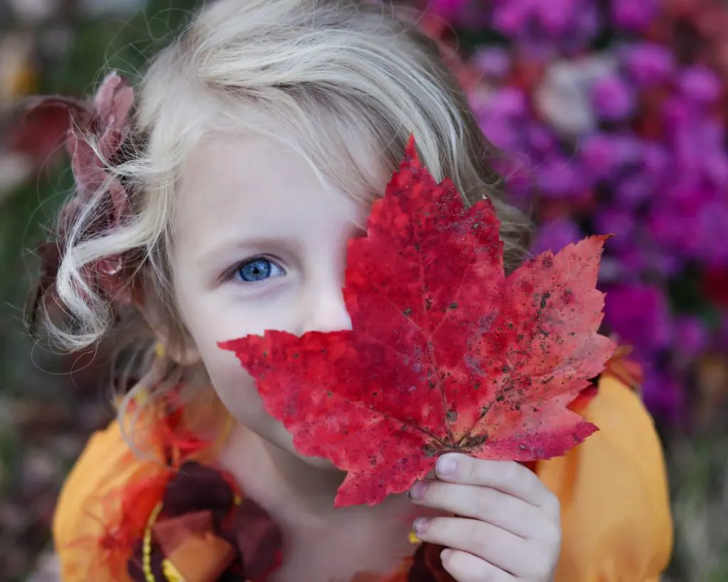 child with leaf
