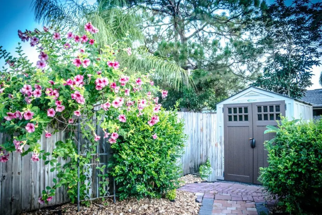 garden shed