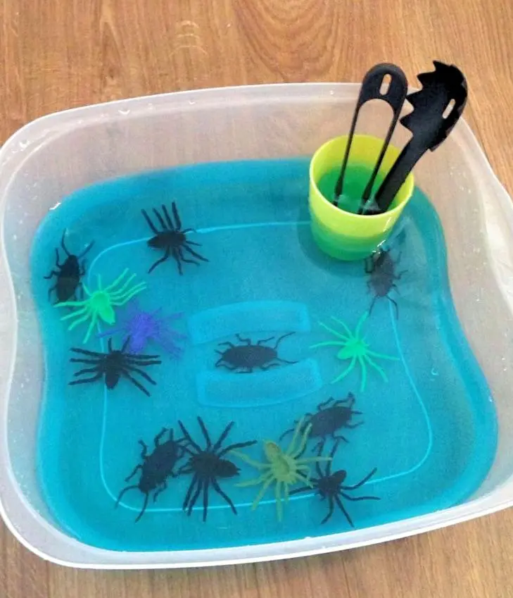 spider soup
