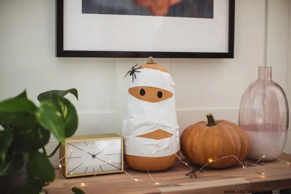 Mummified Butternut Squash Halloween