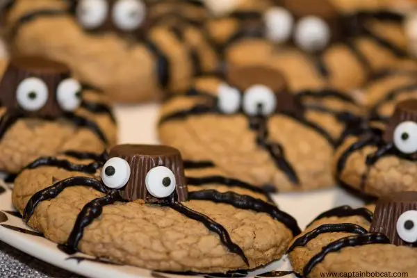 halloween squashed spiders