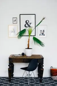 table and plant table and plant