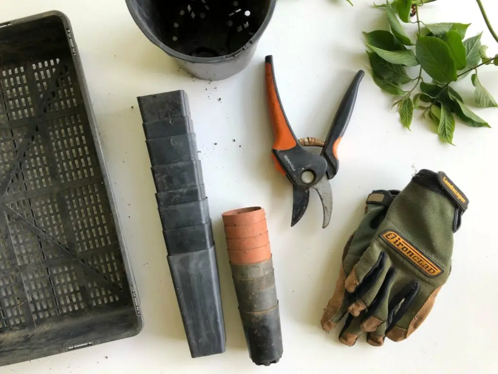 gardening tools