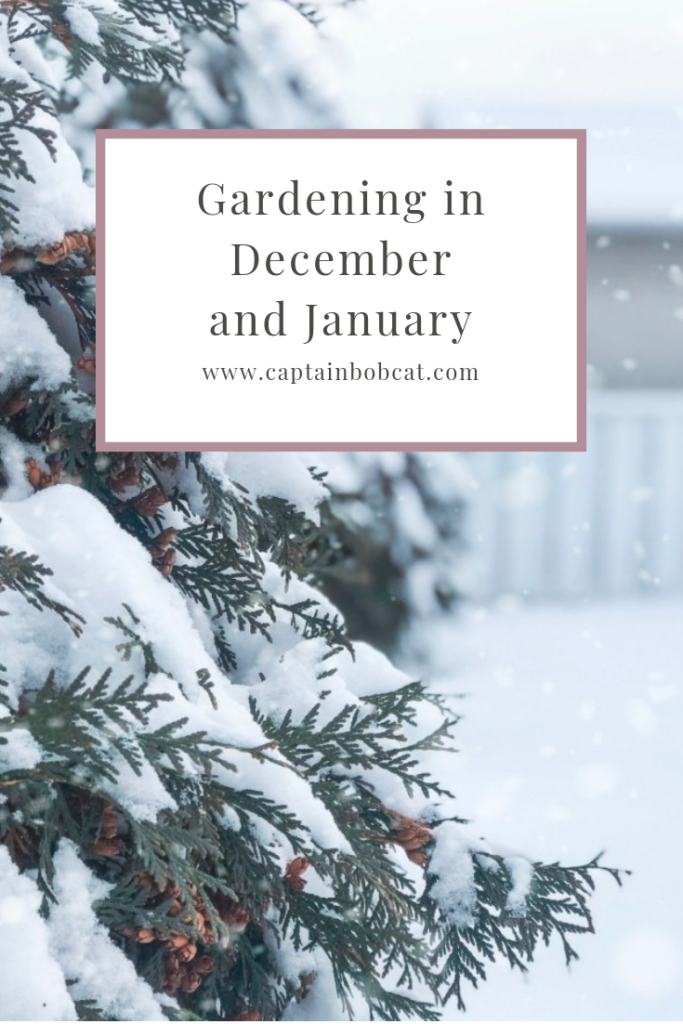 Gardening in December and January