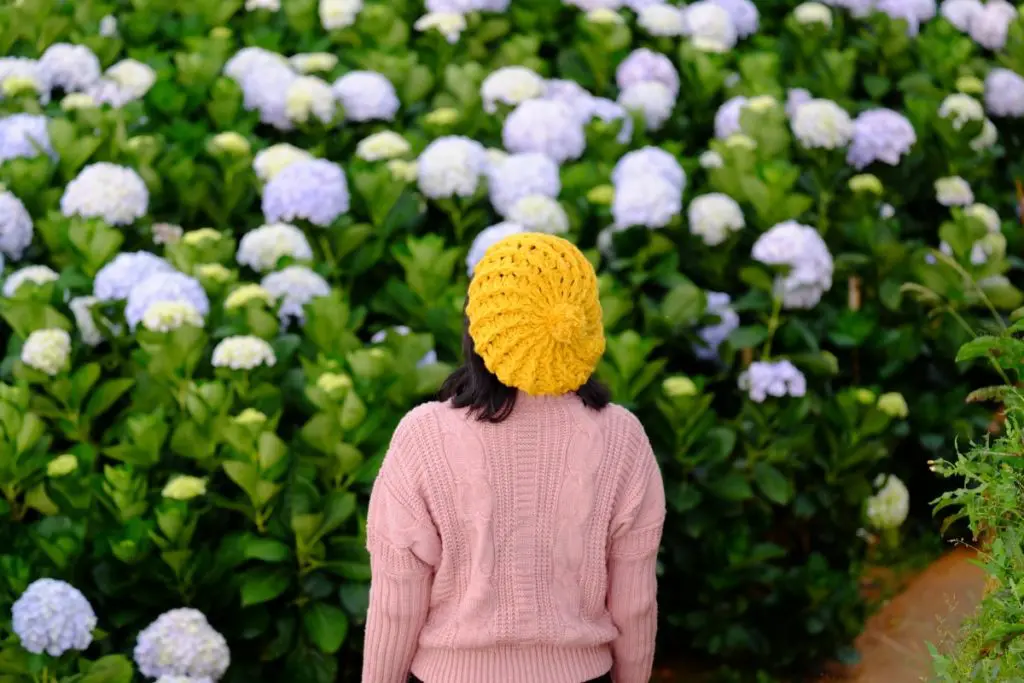 garden flowers women 5 Ways That You Can Protect Green Space Around Your Local Area