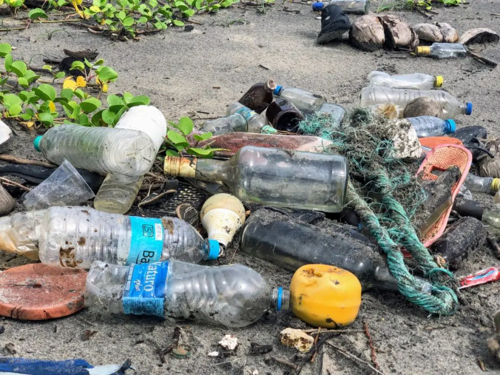 plastic pollution beach