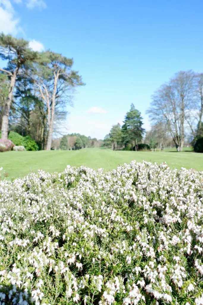 foxhills