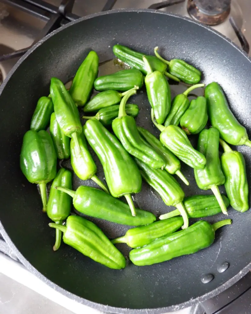 pimientos de padron