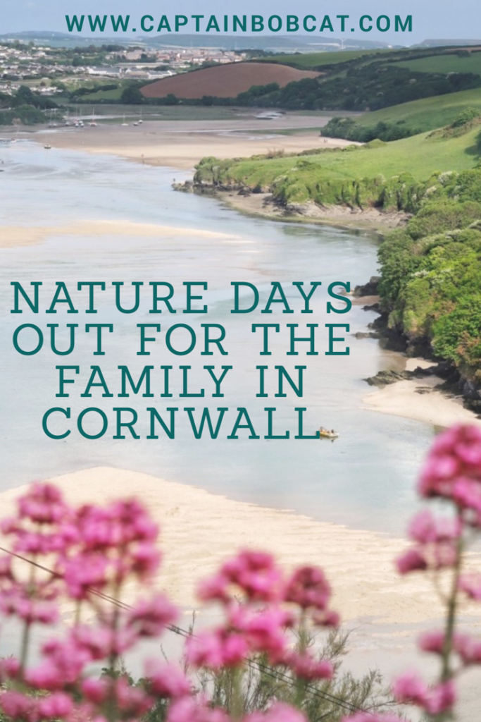 Nature Days Out For the Family in Cornwall