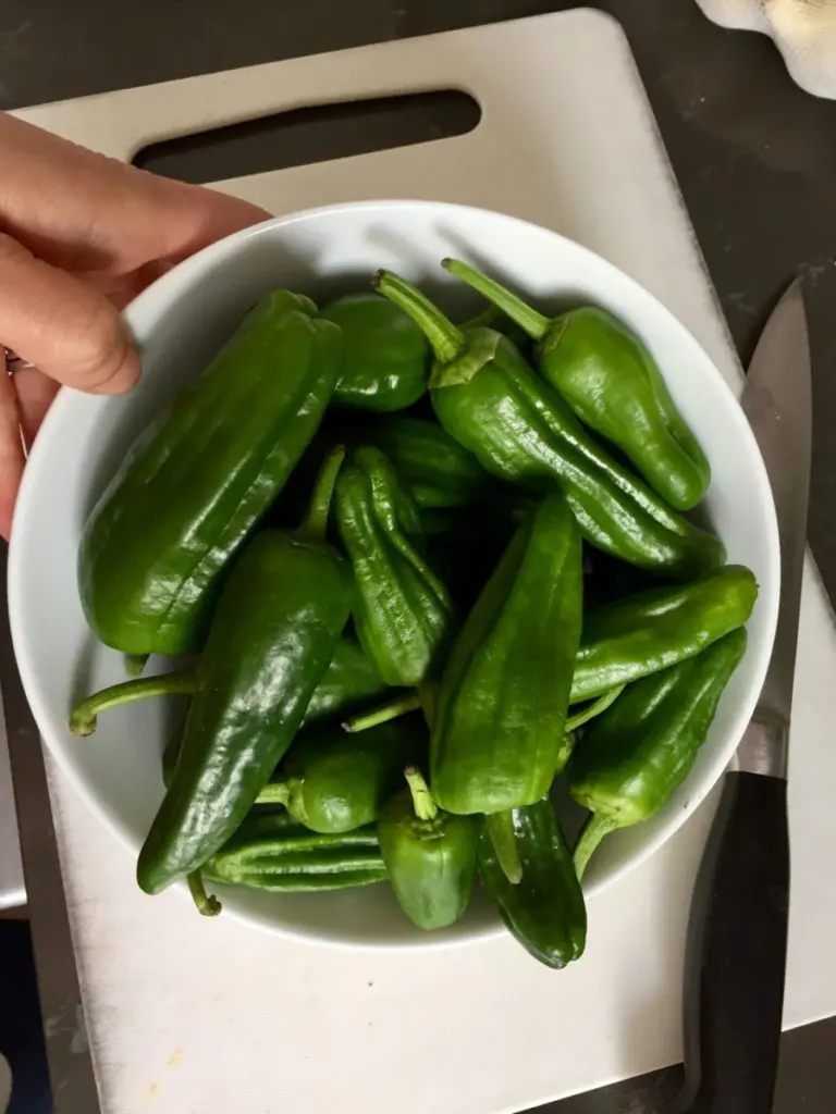 pimientos de padron