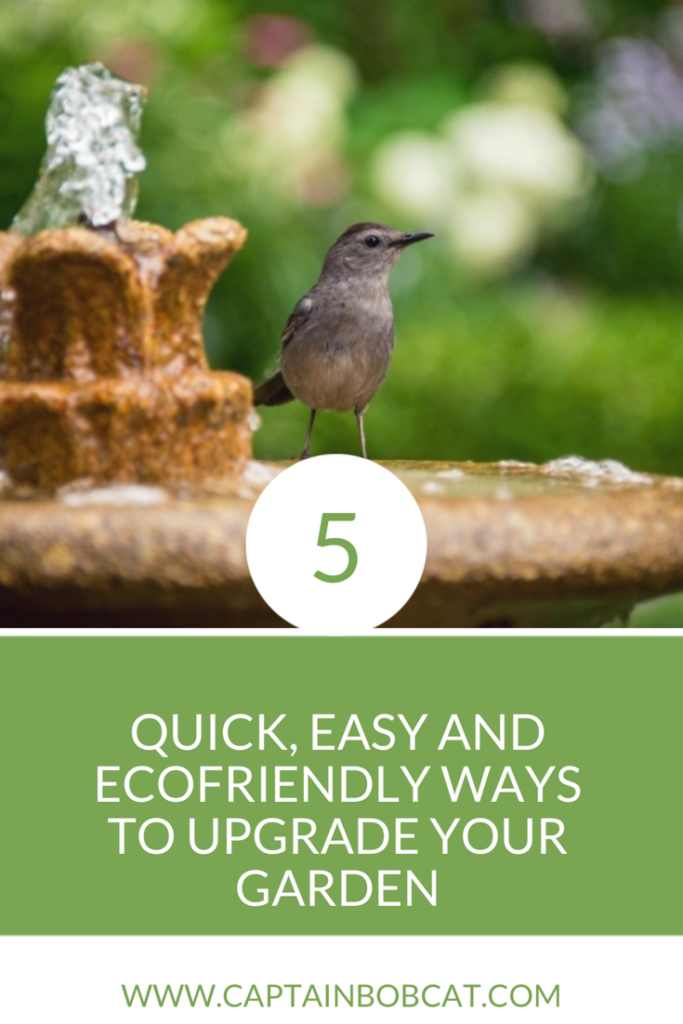 5 Quick, Easy and Ecofriendly Ways to Update Your Garden