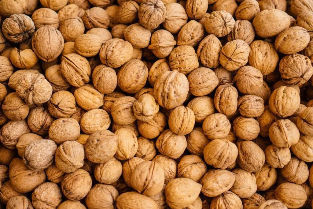 walnuts