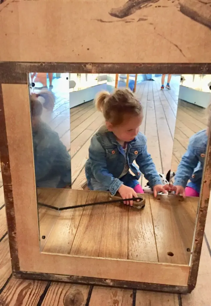 cutty sark review