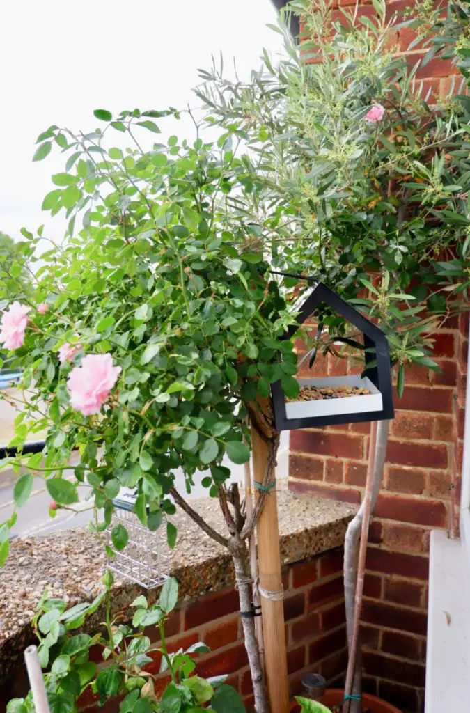 box wild bird feeder box wild bird feeder