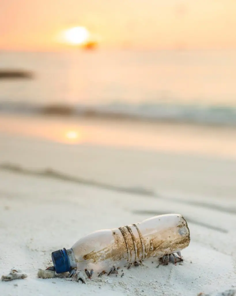 plastic bottle beach recycling clean up
