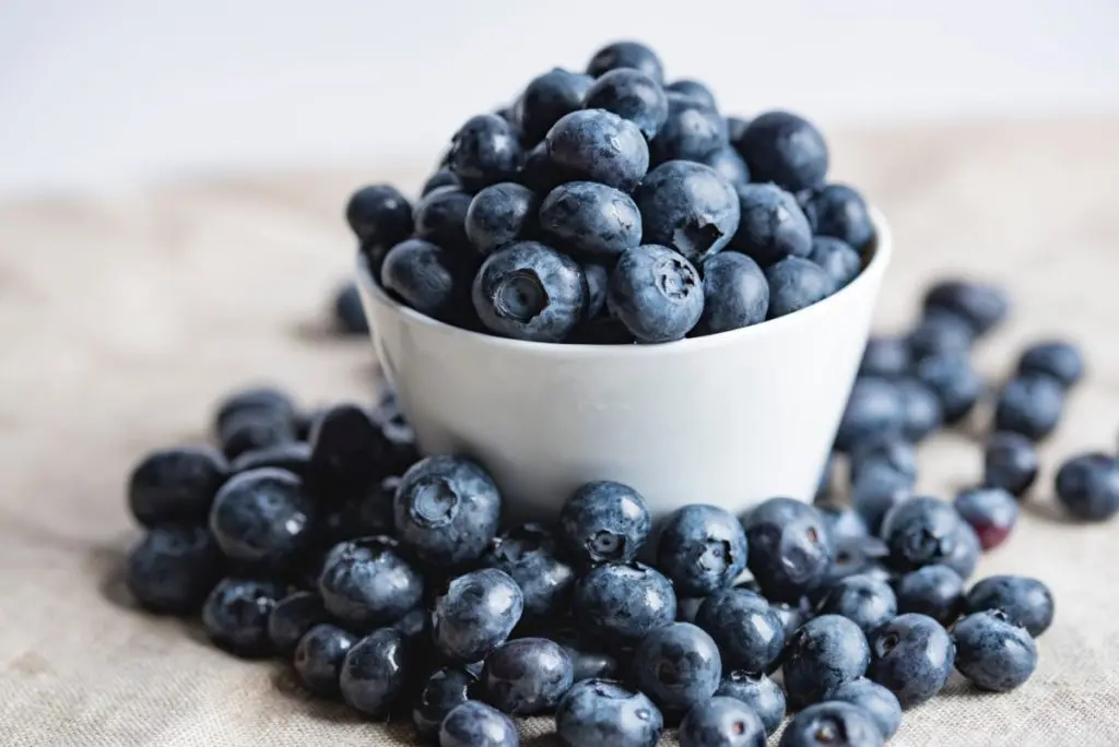 blueberries fruit