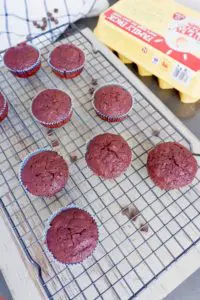 chocolate beetroot muffins