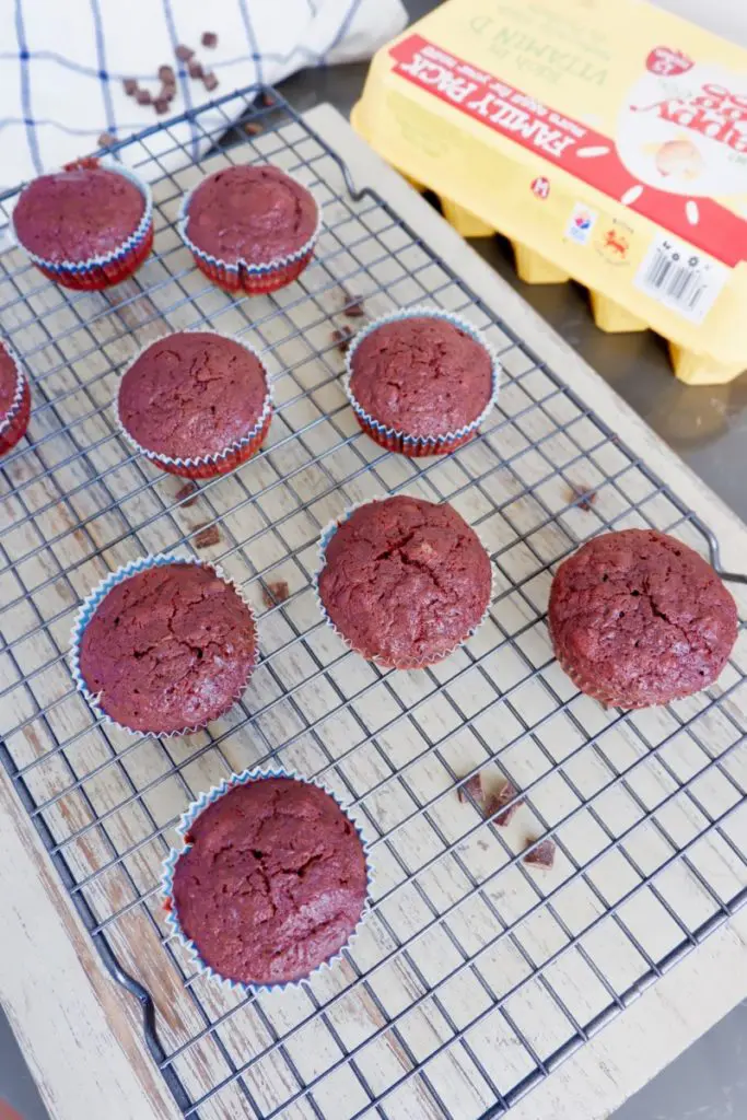 chocolate beetroot muffins