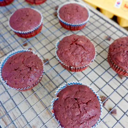 chocolate beetroot muffins