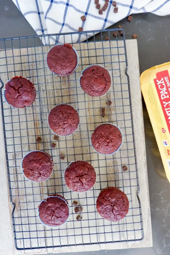 chocolate beetroot muffins
