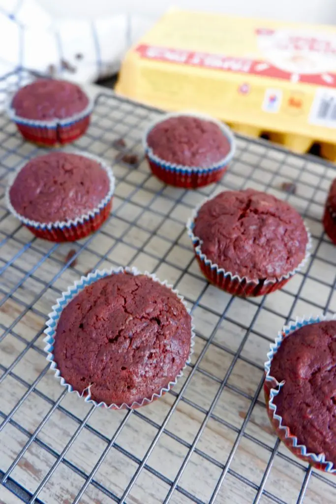 chocolate beetroot muffins