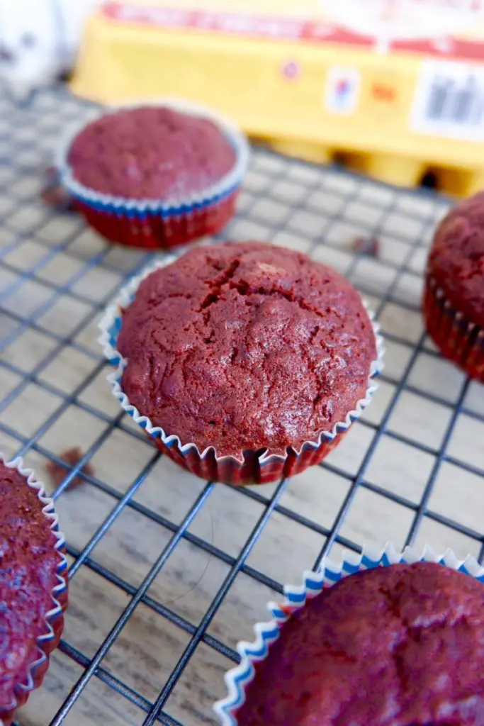 chocolate beetroot muffins