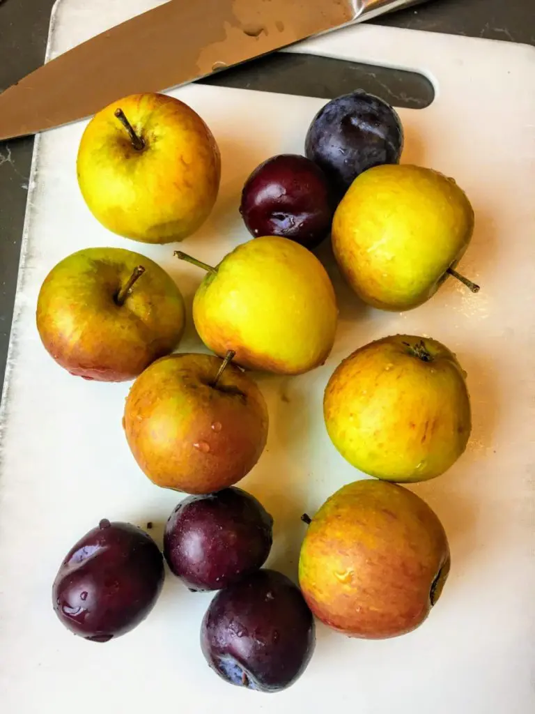 vegan apple and plum crumble