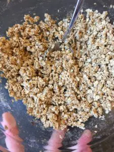 vegan apple and plum crumble