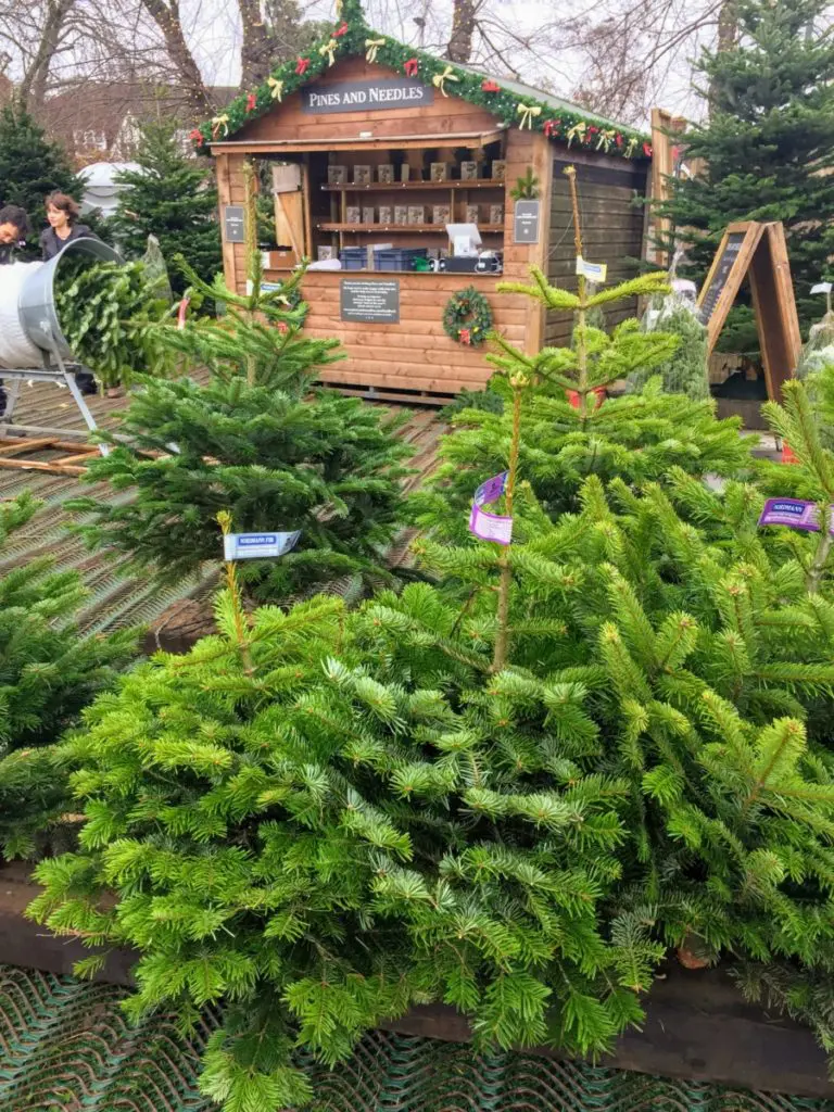 Christmas tree