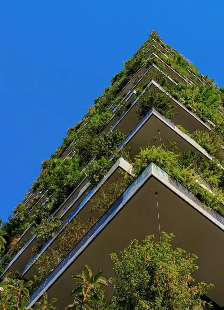 building plants 